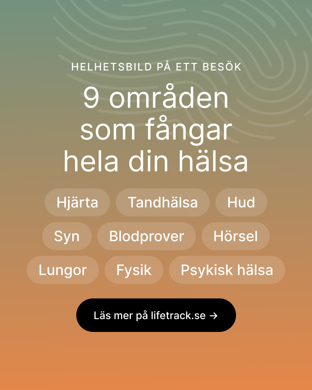 9 områden som fångar hela din hälsa